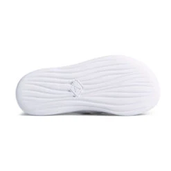 Sperry - Women's Windward Float Flip Flop Shoes (STS86578) -Sperry Shop Sperry Women s Windward Float Thong STS86578 05